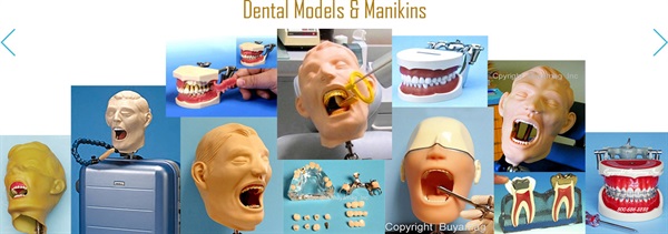 At Buyamag.com Dental X-Ray Manikin Model Training Simulator Phantom. Dental Models are important tools for practicing dentistry techniques in schools for future professional carreer.  