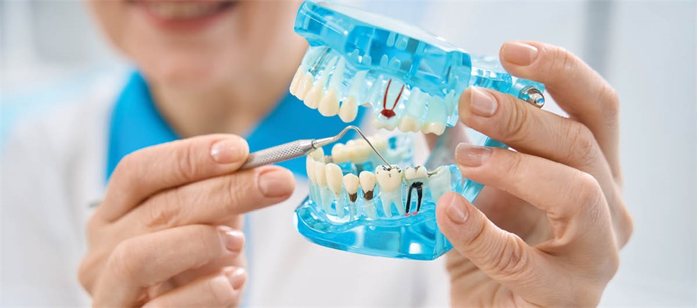 The Evolving Role of Dental Hygienists and Patient-Centered Care